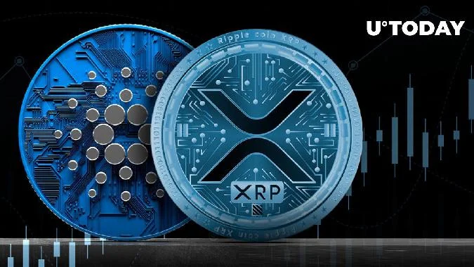 Согласно криптовалютной аналитической платформе Santiment, XRP и Cardano (ADA) были названы двумя из самых активно шортируемых цифровых валют после недавнего облегчения колебаний рынка. Компания объявила, что такой факт является положительным признаком для бумажного трейдинга, так как ликвидировавшиеся шорты могут способствовать устойчивому росту цен на эти активы. Сокращение краткосрочных ставок возникает, когда многие держатели парируют определённую криптовалюту, создавая несоразмерный разрыв между предложениям и спросом. Ada
