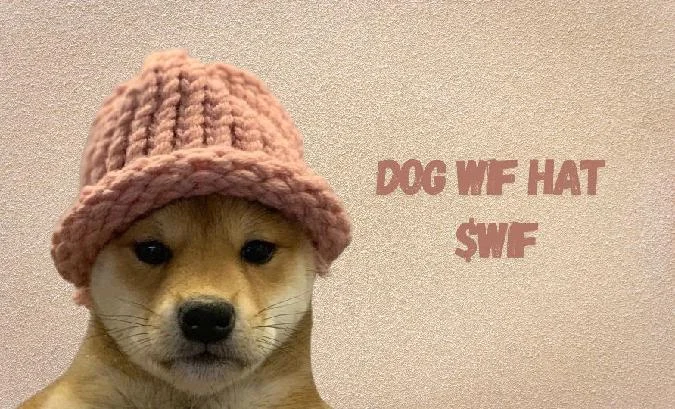 В компании DogWifHat (WIF) сильна этика сообщества, но быстрые движения цены также зависят от торговли производными инструментами. Wif