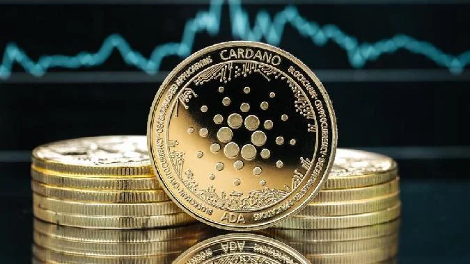 Хоскинсон также утверждал, что партнерство сделает Bitcoin Cash самой быстрой и полезной цепочкой proof-of-work (PoW) из когда-либо созданных. На момент написания статьи в голосовании приняли участие более 13 000 человек, из которых 67,7 % проголосовали за партнерство. Бен Шелли, основатель и технический директор блокчейн-компании Biggest Lab, также проголосовал за этот шаг, отметив сходство между двумя цепочками. Bitcoin