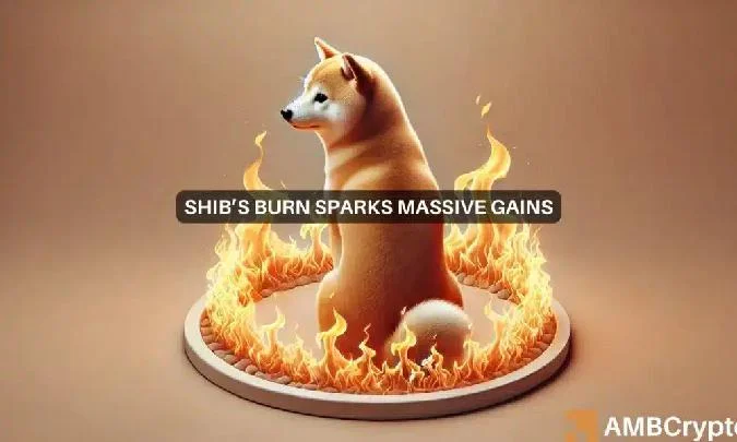 Los niveles de quema en Shiba Inu se dispararon el día de las elecciones, impulsados por la comunidad SHIB. Shib