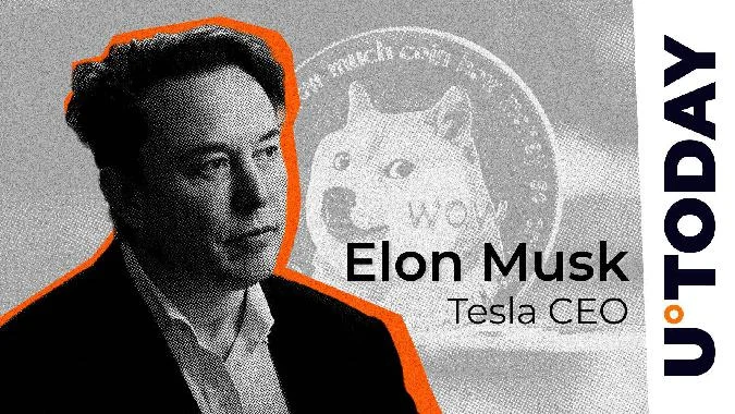Dogecoin-Gründer teilt seine Meinung über Musk und D.O.G.E. Dogecoin