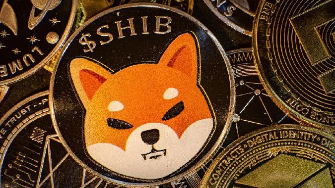 En un jour, le chiffre daffaires du SHIB a grimpé de 60000% et 1,01 milliard de SHIBs ont disparu de la circulation. Shib