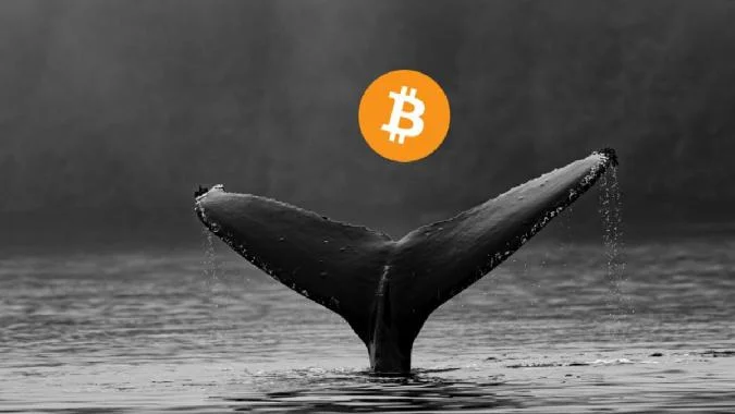 Торговля биткоином на выходных превратилась в турбулентность, когда крупный кошелек, долгое время считавшийся неактивным, неожиданно переместил миллиарды BTC, спровоцировав одну из крупнейших за год волн ликвидаций и обрушив цену почти до $111 000. . Btc