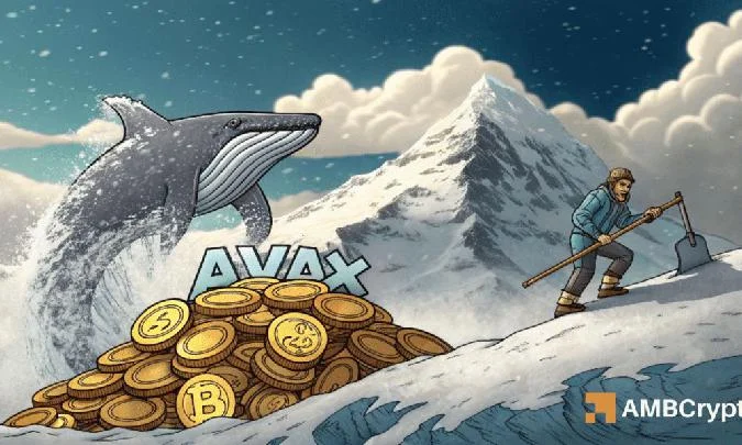 El aumento de la actividad en la cadena indica un posible incremento de los precios. . Avax
