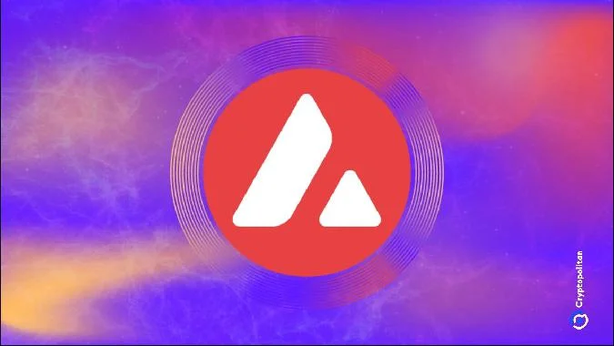 La plataforma Avalanche ofrece a los desarrolladores la posibilidad de crear blockchains autosuficientes personalizadas para escenarios de aplicación específicos. . Avalanche