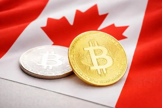 Le Canada met en place des dispositifs de garde en plusieurs étapes afin de minimiser le risque de contrepartie. . Actifs numériques