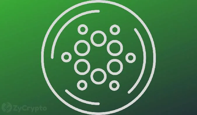 Несмотря на недавнюю нестабильность цен на ADA, экосистема Cardano переживает стремительный рост и характеризуется значительным прогрессом в различных проектах. Cardano