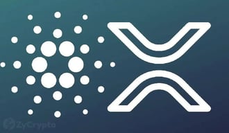 El CEO de Real Vision está convencido de que los inversores necesitan cambiar a opciones mejores y más innovadoras y que muchos inversores antiguos están dañando la causa de la criptodivisa al pertenecer al culto de los tokens irrelevantes. Xrp