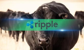 Ripple (XRP) registró una pequeña subida entre las altcoins en medio del repunte del mercado de la semana pasada, pero entre las muchas criptodivisas con potencial, ¿es XRP una altcoin a tener en cuenta en septiembre? Xrp