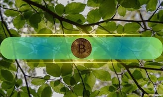 El análisis de Avocado se produce después de un recorte de tipos de interés de 50 puntos básicos por parte de la Reserva Federal de EE.UU., que ha hecho que el precio de BTC suba un 7,5 por ciento en la última semana. Bitcoin