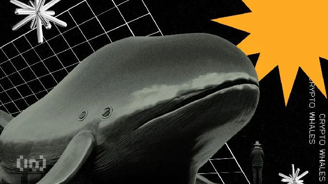 Una investigación sobre las actividades de las ballenas de Ethereum. Ethereum