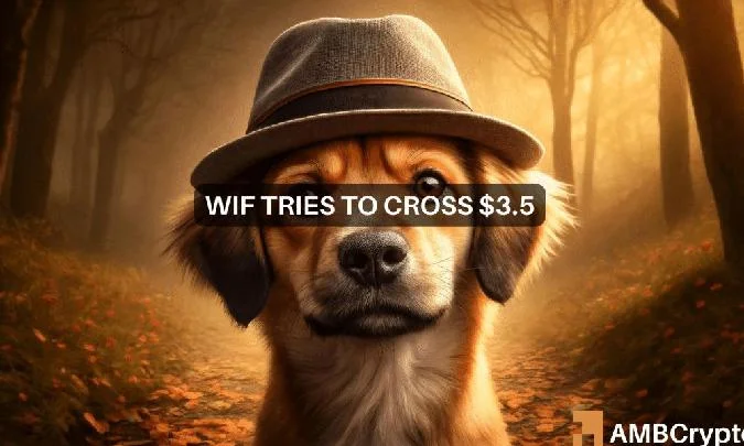 Dogwifhat sube un 20% y alcanza los 3 dólares: ¿el próximo objetivo de WIF son 5 dólares? Wif