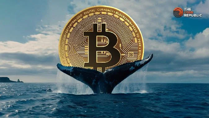 Las ballenas agresivamente cortos bitcoin: puede BTC mantener su máximo de 200 días? . Bitcoin