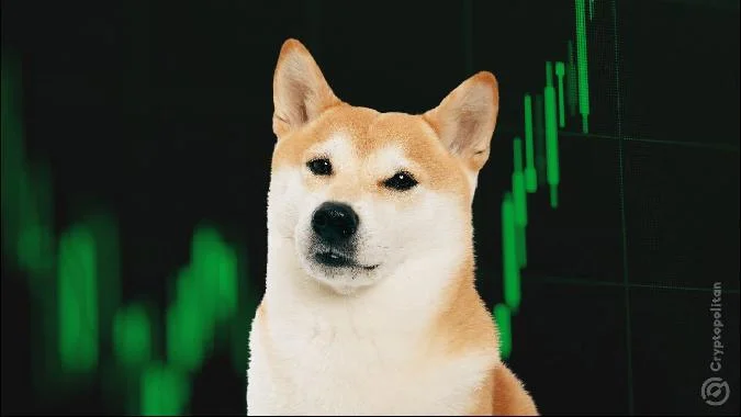 En este post. Dogecoin se aprecia más de un 12% después de que Elon Musk respaldara al Departamento de Eficiencia Gubernamental (D.O.G.E.). Doge