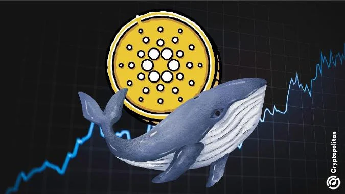 Dans ce post. Le taux de change de Cardano a augmenté de 76 % en seulement cinq jours. Cardano