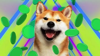 当选总统唐纳德-特朗普宣称自己是加密货币的领导者，希望将美国（比特币）打造成世界之都. Doge