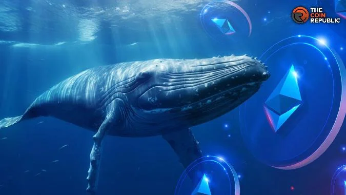 Une baleine transfère 4000 ETH sur Bitfinex, le prix de lEthereum est menacé. Le graphique