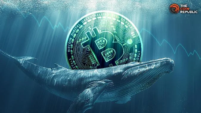 Bitcoin am Abgrund? Der 21-Tage-EMA fungiert als wichtige Unterstützung, während die Widerstandsniveaus bei $103K, $106,4K und $108,5K liegen. . Bitcoin