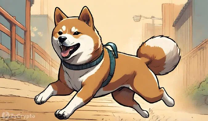 SHIB (SHIB) zeigte am Freitag trotz monatelanger begrenzter Bewegung eine starke Dynamik. Shib
