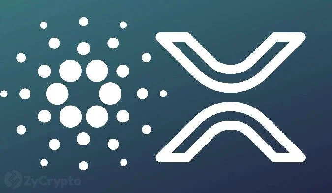 Ripples XRP erreichte diese Woche ein Sieben-Jahres-Hoch, stieg in nur sieben Tagen um fast 45 % und rückte ins Rampenlicht. . Ada