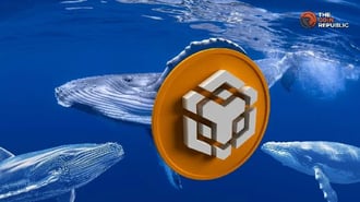 Weder die lila noch die grüne Box sind verfügbar. Binance