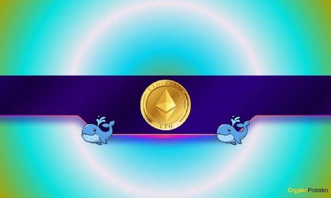 Trotz eines kurzfristigen Preisanstiegs in den letzten Wochen war Ethereum (ETH) eine der Enttäuschungen dieser Hausseperiode. Er wird derzeit bei rund 2.200 $ gehandelt (laut CoinGecko), was einem Rückgang von 42 % gegenüber dem letzten Jahr entspricht. Eth