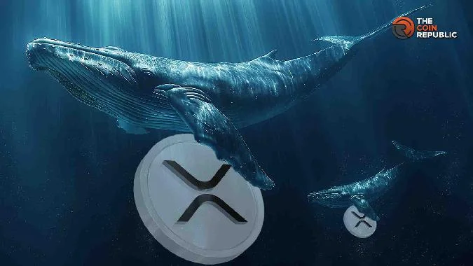Ripple Whales Brace For A Rally, Will XRP Price Hit $3 andamp; Jenseits Ripple Wal übertragen 167M XRP, Funkenbildung Spekulationen über kommende Preis . Xrp
