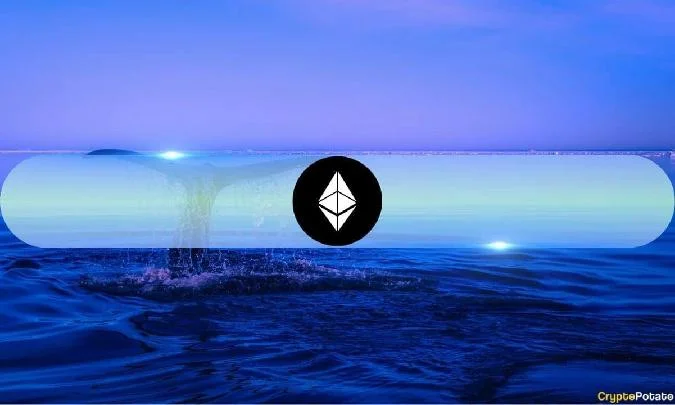 Há uma clara propensão para acumular grandes jogadores de Binance, que têm aumentado constantemente sua participação no Ethereum (ETH) desde julho. Ethereum