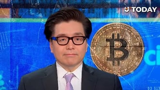 Lee prédit que la juste valeur du bitcoin se situera entre 1,6 million et 2 millions de dollars, par rapport au prix de lor sur le marché, qui est de 5 000 dollars. Lorsquon lui demande dans quel délai le bitcoin atteindra ce niveau, M. Lee répond que lhorizon est fixé aux cinq prochaines années, cest-à-dire à 2030 :. Bitcoin