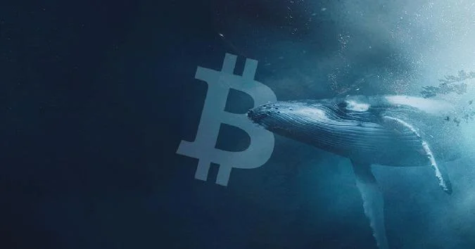De nouvelles données de la plate-forme danalyse Santiment détaillent les changements en cours sur le marché du bitcoin, en particulier dans le contexte du comportement des baleines (grands investisseurs) et des participants de détail. Ont