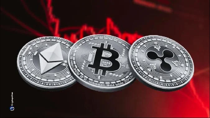 Les trésors numériques ont perdu 25 milliards de dollars à la suite de la dernière baisse du marché des crypto-monnaies. . Ont