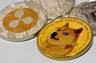 Setelah muncul pada tahun 2013 sebagai proyek lelucon yang didasarkan pada meme populer tentang anjing ras Shiba-inu, Dogecoin telah mengalami pertumbuhan sebesar 16104,52% . Saat ini, nilai pasarnya melebihi $13 miliar, melampaui Dominos Pizza Inc (NASDAQ: DPZ). Pada puncaknya, aset ini bernilai lebih dari $82 miliar. . Dogecoin