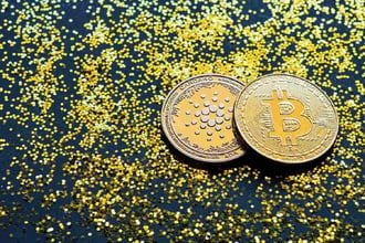 类似于比特币（BTC）网络中闪电网络（Lightning Network）的支付通道，将通过一种名为卡尔达诺闪电网络（Cardano Lightning）的新型状态通道架构在卡尔达诺（ADA）网络中实现。 . Cardano