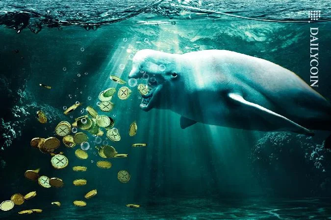 Inicio  Ripple (XRP)  La actividad de las ballenas alimenta el mercado de XRP a pesar de la caída: ¿es una señal alcista? Xrp