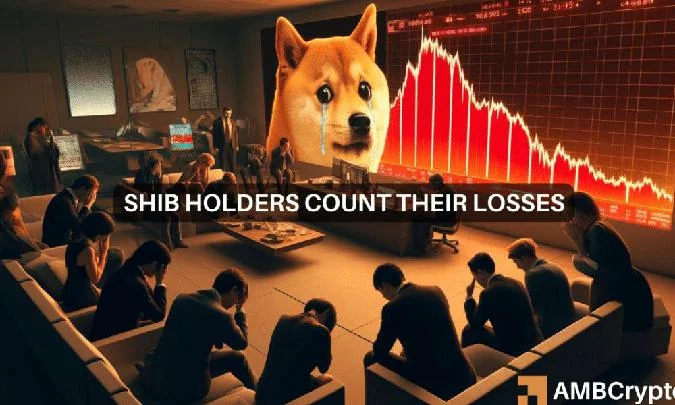 Mais de 50 por cento dos investidores em Sib estão a operar com prejuízo. Shib