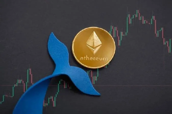 El 3 de septiembre, la plataforma de análisis SpotOnChain envió un mensaje al sitio web x (antes Twitter) en el que se informaba de que la ballena había transferido unos 3.814 dólares por valor de 2.670 dólares a Binance cuando Ethereum cotizaba a 7.000 ETH. Eth