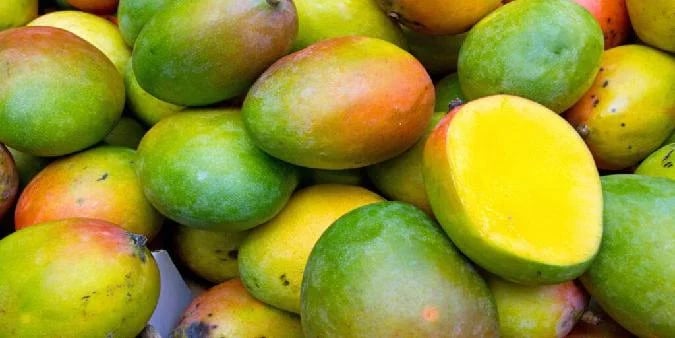 El viernes, la Comisión de Bolsa y Valores de EE.UU. (SEC) anunció que había presentado cargos de comercio de valores contra los equipos detrás de la plataforma impulsada por Solana DeFi Mango Markets (Mango DAO, Mango Labs y Blockworks Foundation) después de una larga investigación. Dao