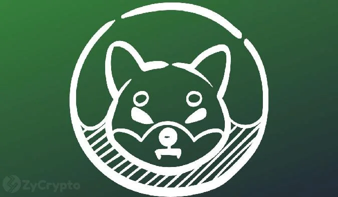 Lucy, jefa de marketing de Shibabu (SHIB), ha predicho que el ecosistema meme-coin podría explotar un 1000% en cuestión de días. Esta optimista predicción se basa en la significativa volatilidad del mercado y en los impresionantes beneficios a largo plazo para SHIB. Shib