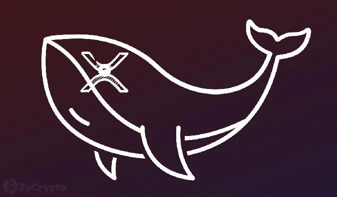 Whale Alert, una piattaforma che tiene traccia delle transazioni di criptovalute di grandi dimensioni, ha segnalato una serie di trasferimenti di 452 milioni di XRP sugli exchange Bitvavo, Bithumb e Bitstamp. Xrp