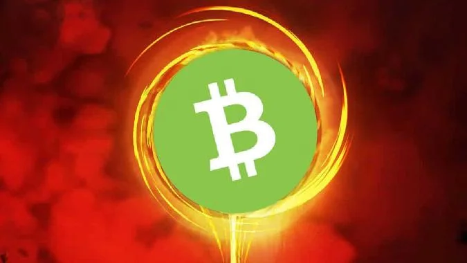 En las últimas semanas, el bitcoin y varias otras criptodivisas han experimentado notables subidas de precios. Bitcoin