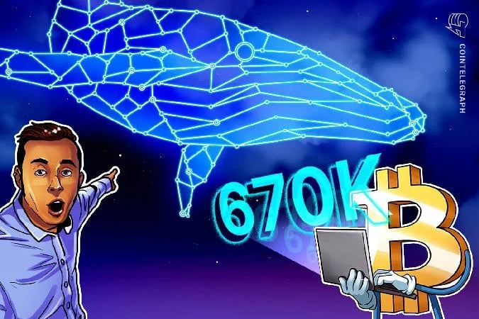 En cuanto al aumento actual de la población de ballenas, los investigadores señalaron que se trata de una señal optimista a largo plazo, afirmando que. Bitcoin