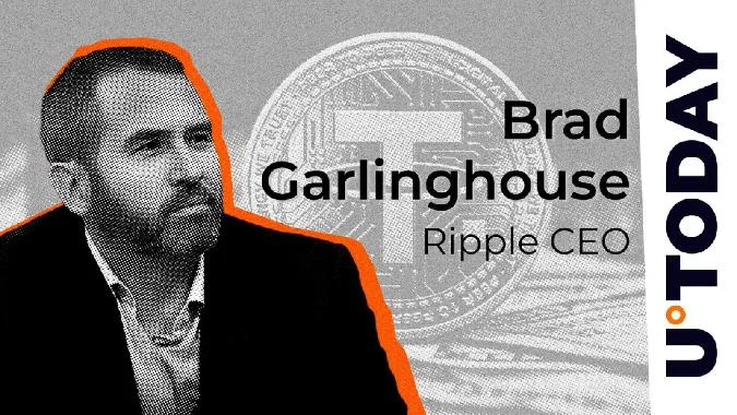 Laut U.Today hat der CEO von Ripple, Brad Garlinghouse, im Mai 2024 in einem Podcast über Kryptowährungen und Blockchain gesprochen und dabei erwähnt, dass er einen schwarzen Schwan in Bezug auf Tether und sein Vorzeigeprodukt USDT erwartet. . Tether