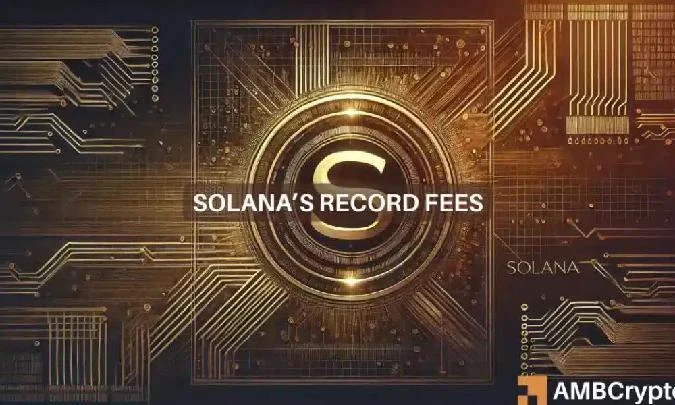 El valor económico real de Solana superó los 11 millones de dólares, una cifra récord. Solana