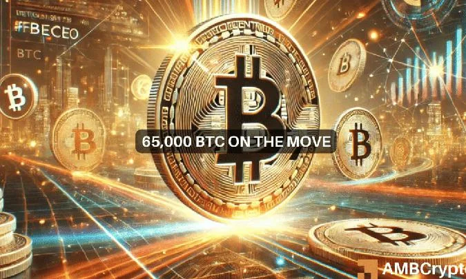 The number of withdrawn bitcoins reached 65,000, BTC is approaching the 0 100,000 mark: Whats next? . Btc
