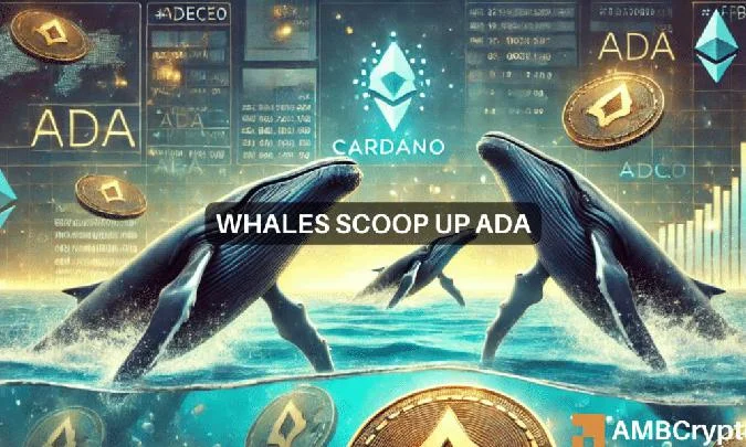 Cardano Whale consiguió 130 millones de ADA a un precio de soporte de 0.30, consolidó el soporte e impulsó la subida a 1.00. Ada