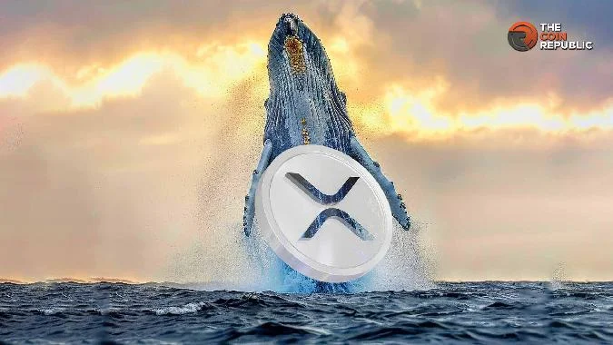 Il valore di XRP di Whale in Ripple è di 2,88 milioni di dollari mentre il prezzo è sceso a 2,22 dollari . Xrp