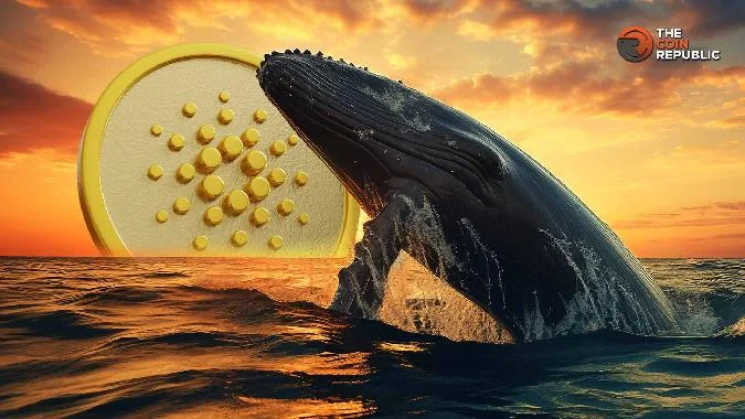 Cardano Whale Boosts Purchases, ADA Ready to Jumpstart乗車2 ? . Cardano