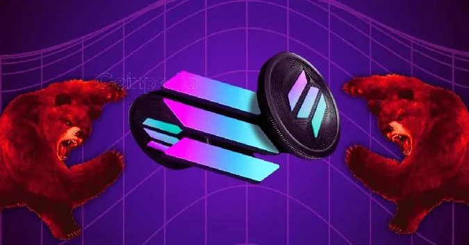 Raul Pals optimistischer Ausblick für SOL, steht eine Erholung bevor? . Sol