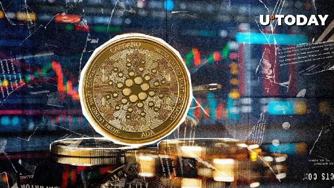 Das Produkt ist zu 100 % mit ADA unterlegt und in Euro denominiert.Virtune glaubt, dass ADA ein Token für Investoren ist. Der Grund dafür ist, dass Smart Contracts ein Protokoll sind, das die Stabilität des Blockchain-Systems gewährleisten soll. Cardano