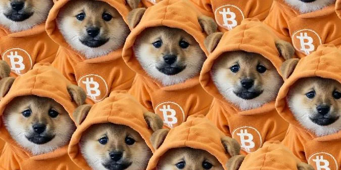 Bitcoin-Maximalisten und harte Trader neigen dazu, ziemlich konsequent zu sein, wenn es um Loyalität geht. Bitcoin